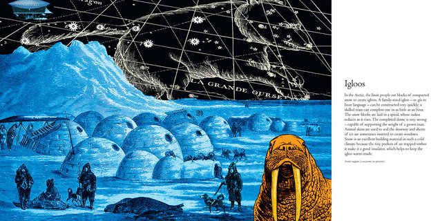 An Igloo on the Moon
