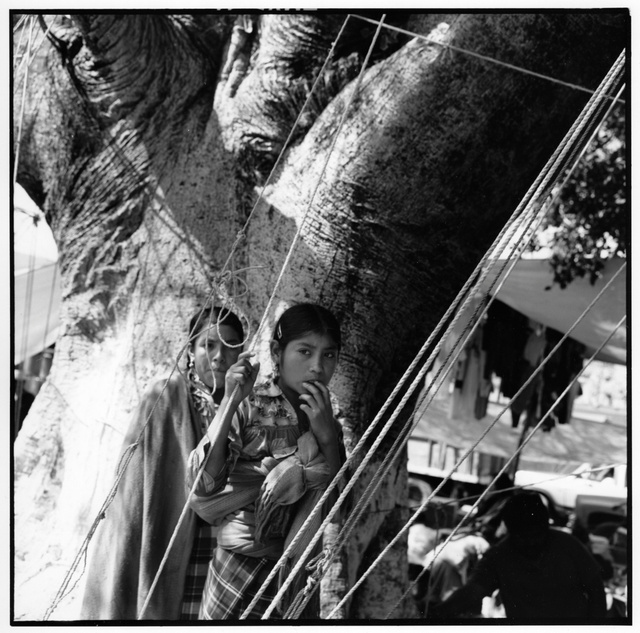 Mex., girls, tree, ropes236.jpg