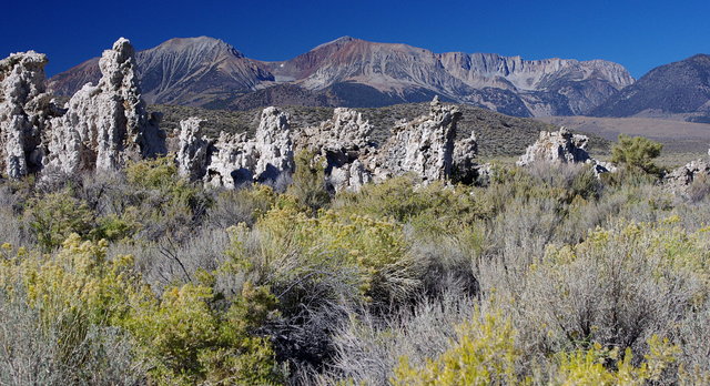 Tufa Towers at Mono Lake (4) VB.JPG