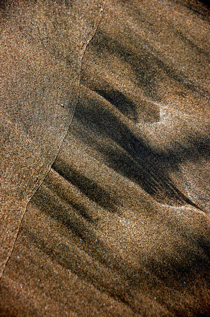 Delta del Ebro_0017.JPG