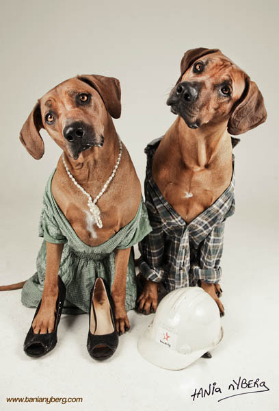 PETS ...YOUR BEST FRIEND