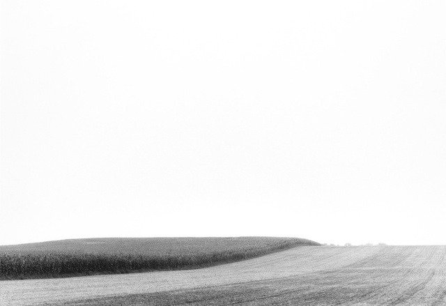 Untitled 23.25 x 16.jpg