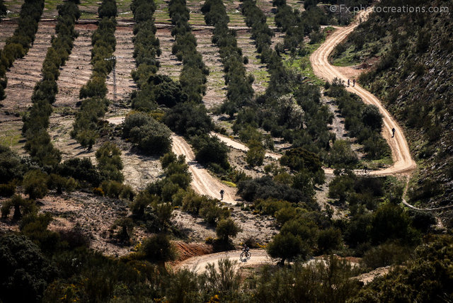 Andalucia06499.jpg