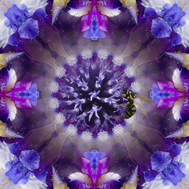 Violet