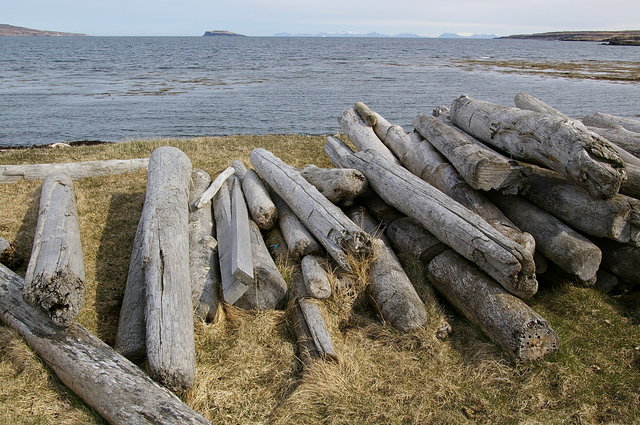 Driftwood at Steingrimsfjordur (1) VB.JPG