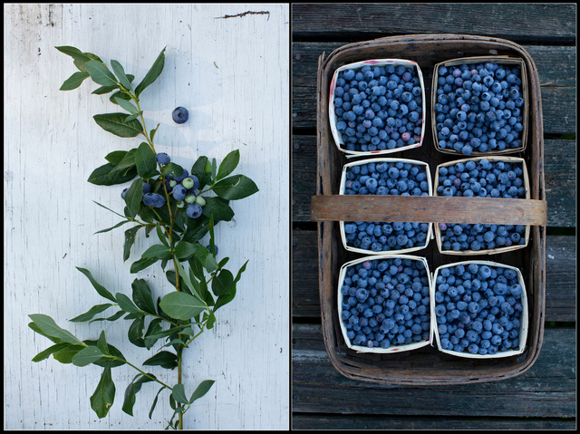 Screen Shot 2011-11-21 at 1.56.17 PM.png