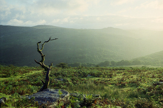 View from Combestone Tor