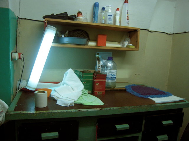 DSCN5521.JPG