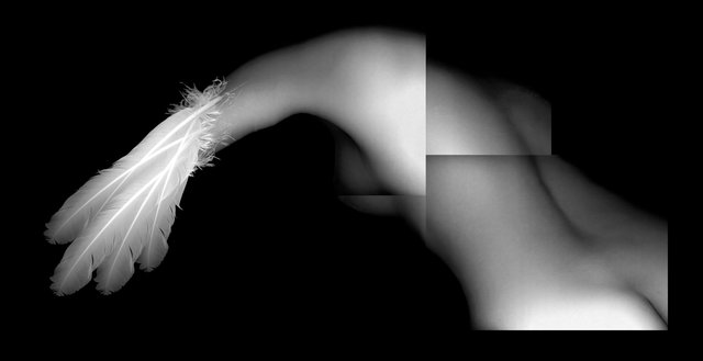 Growing Wings I