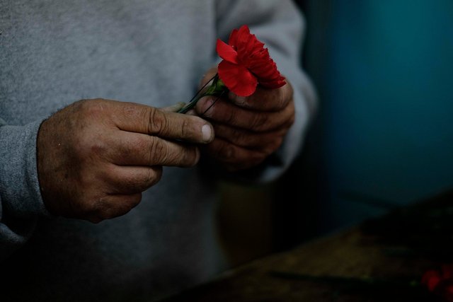 141108_MBElian_flowermen_004_sm.JPG