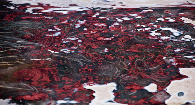Weathered 12.