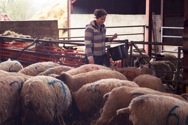 Helen Griffiths, Longridge, Hartpury, Gloucestershire