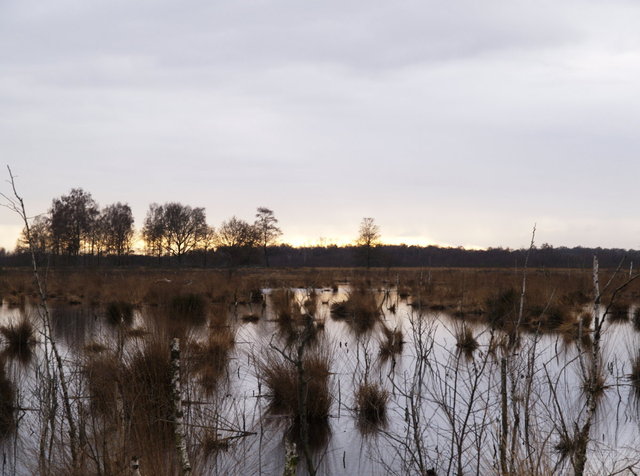 haaksberger veen