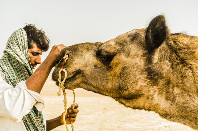 Jaisalmer, India. 2015.