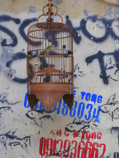 BIRD ON THE WALL