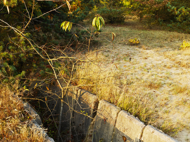 Oranienburg, Germany 2014