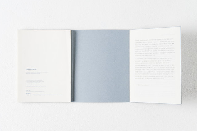 encounters, 33 pages, accordion book. Published by Datz Press in 2015.