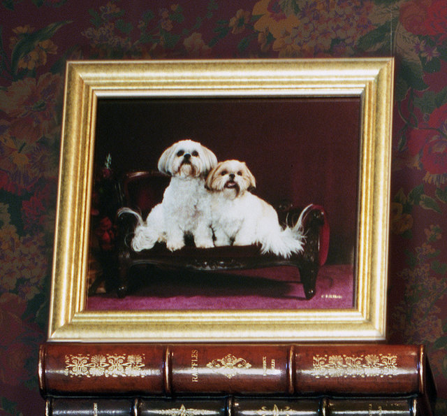 Benji and Cleo detail