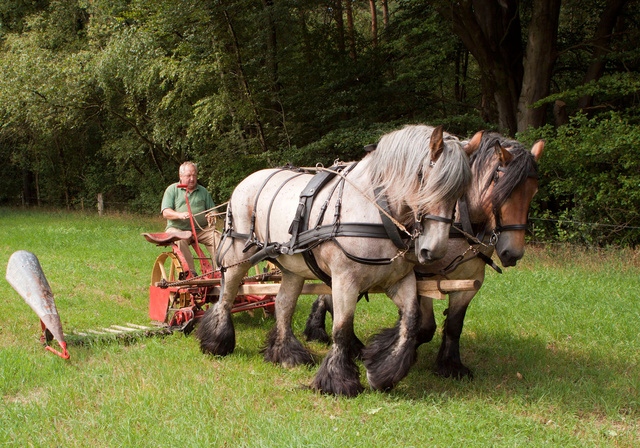 2 span voor maaibalk