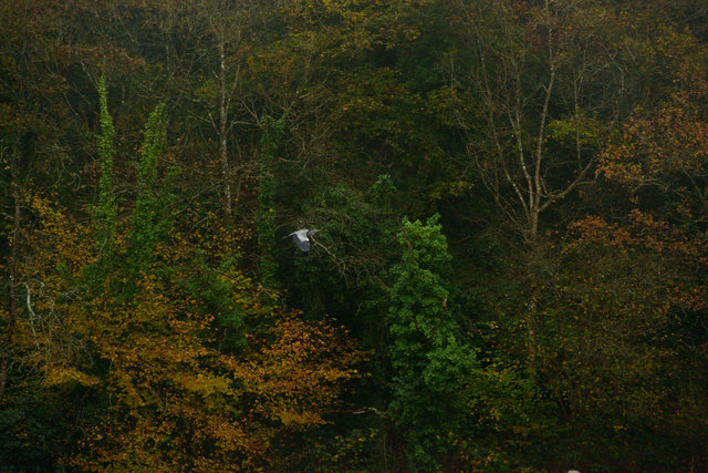 Vallée de Tréauray 2