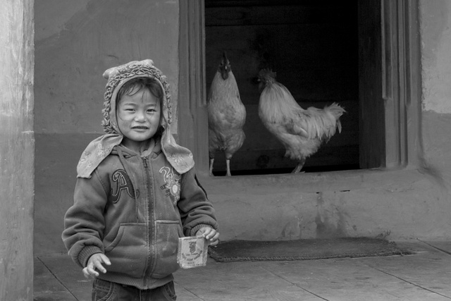Kid and two chooks