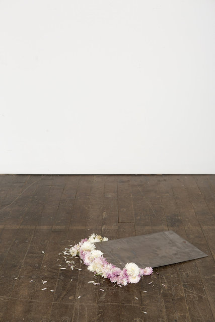 untitled (daisies, steel sheet) , 2015