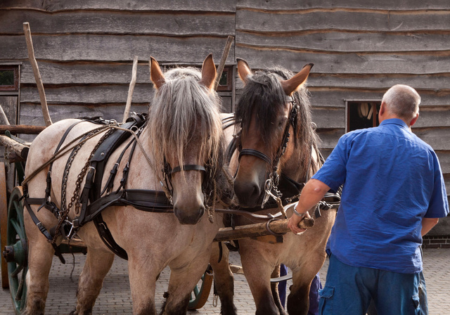 Aanspannen voor demonstratie Ootmarsum