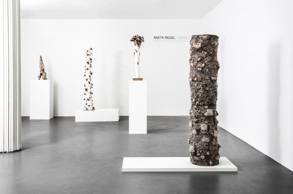"Gneiss" 2015