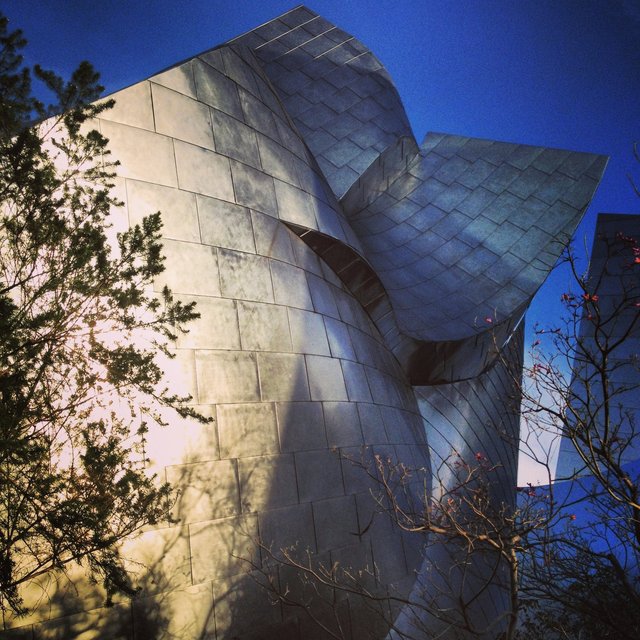 WALT DISNEY CONCERT HALL - BLUE 16