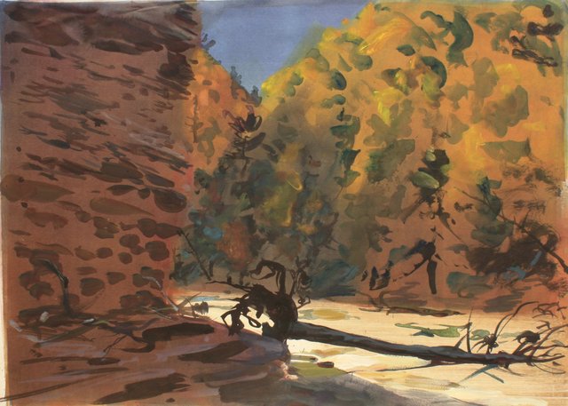 Treman Gorge 22 x 29"