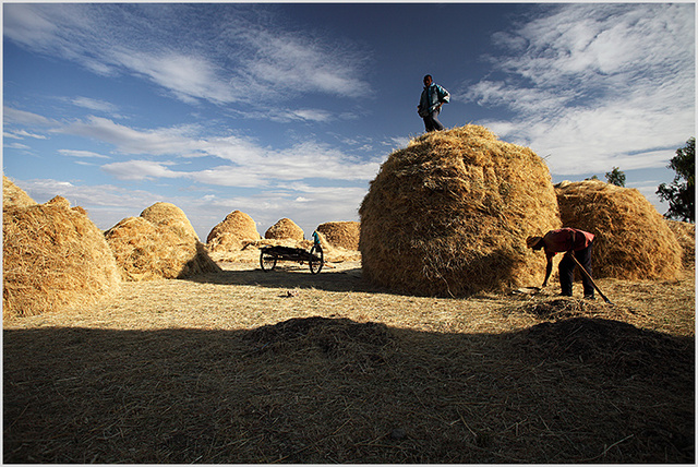 hay heaps, meki