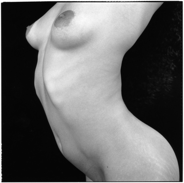 Luz torso128.jpg