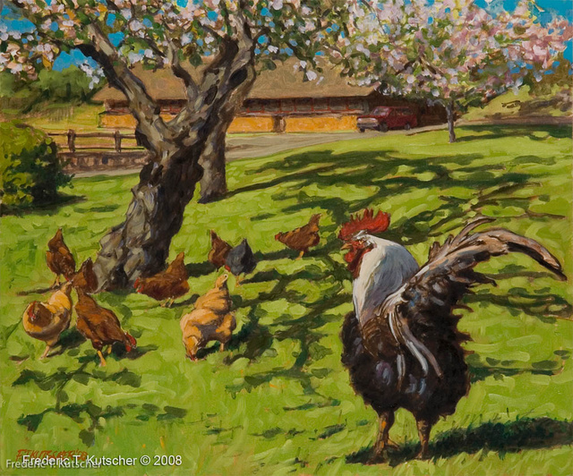 2008-15 Rooster Rules (24W 20H oil on canvas board).jpg