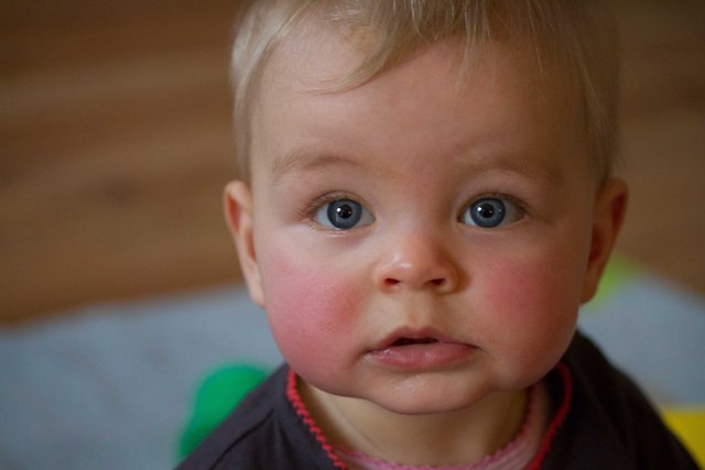 Fenna 22dec12-24.jpg