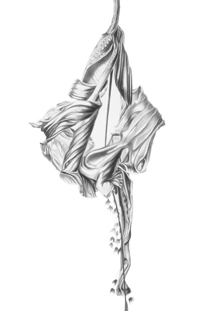 Hibiscus Lyrical