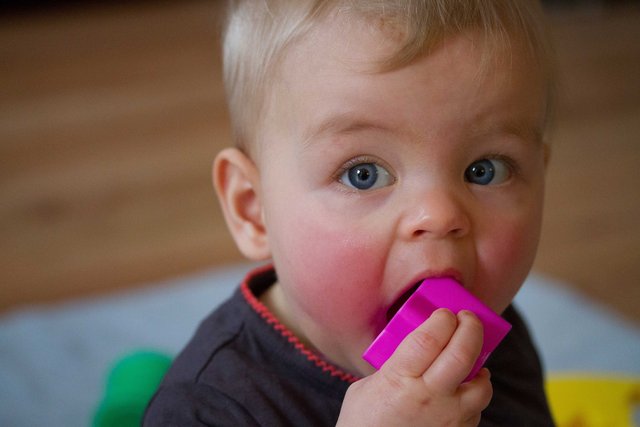 Fenna 22dec12-21.jpg