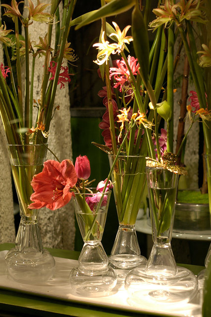 Shop Window Menno Kroon