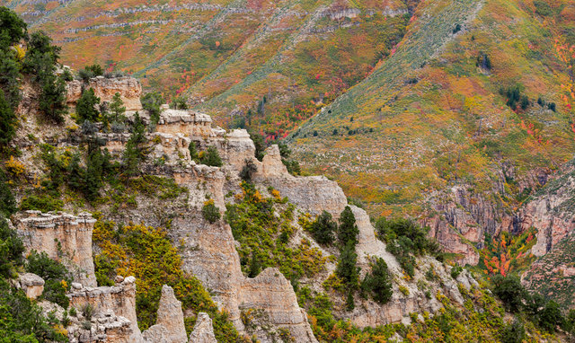 North Rim Grand Canyon