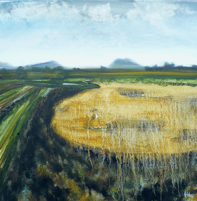 samish wheat