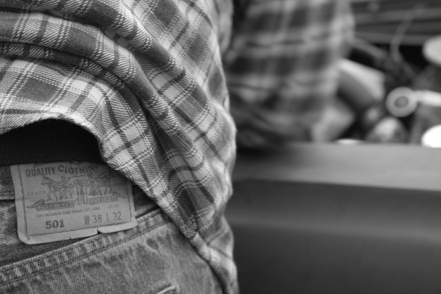 Picture Fall 2008 download 677.jpg