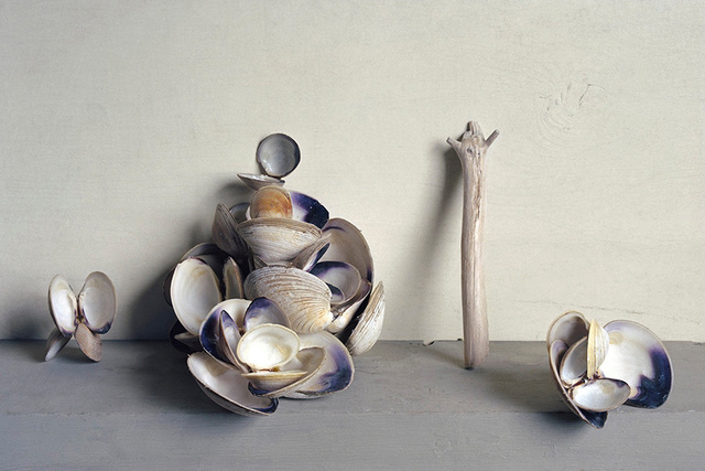 Clam Shells, c 2007