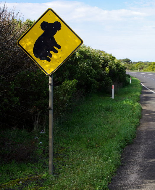 Koala sign on Princes Highway (2) VB.JPG