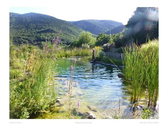Martas Pool of Life