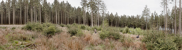 The Third Lie | Series of 6 panoramic images | 2012