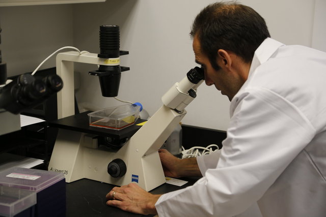 Photography (Medical Lab)