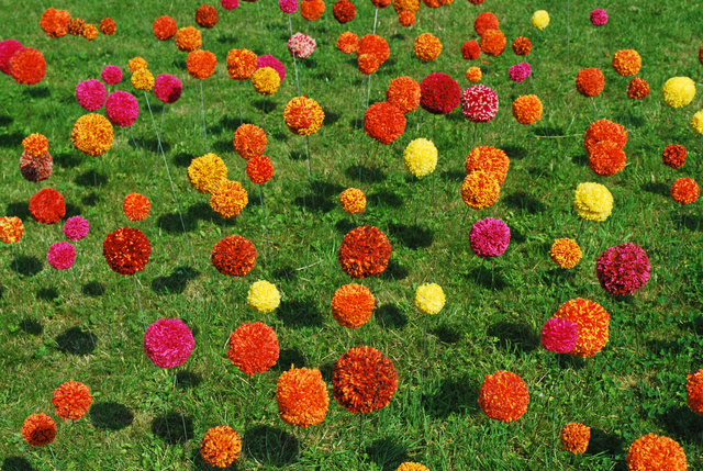 pompoenen proeftuin3.jpg