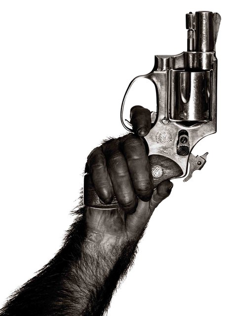 Monkey with Gun © Albert Watson