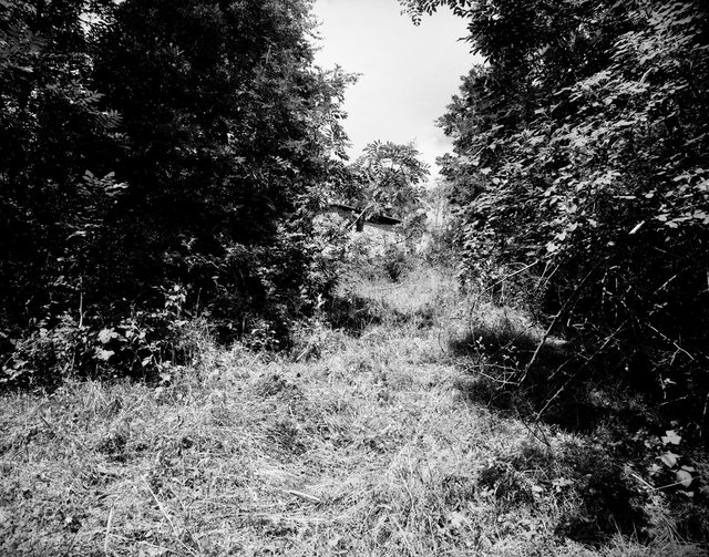 07_ORIGINE RESISTENZA_150dpi.jpg