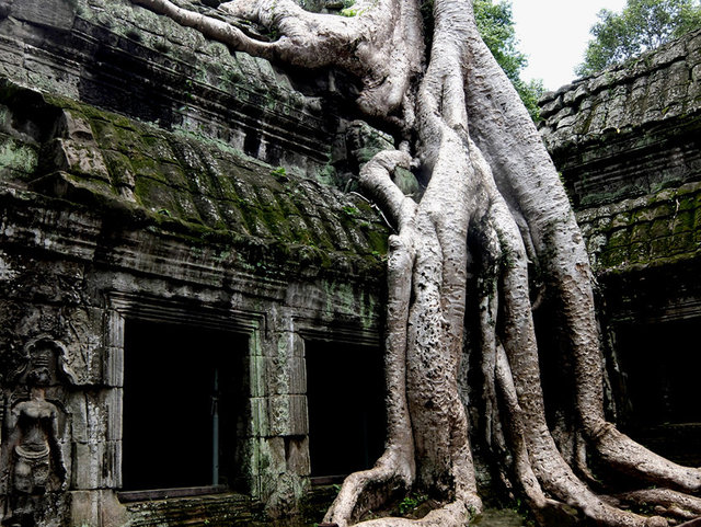 Ankor, Cambodia