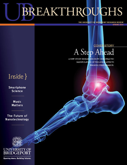 UB yearly research publication